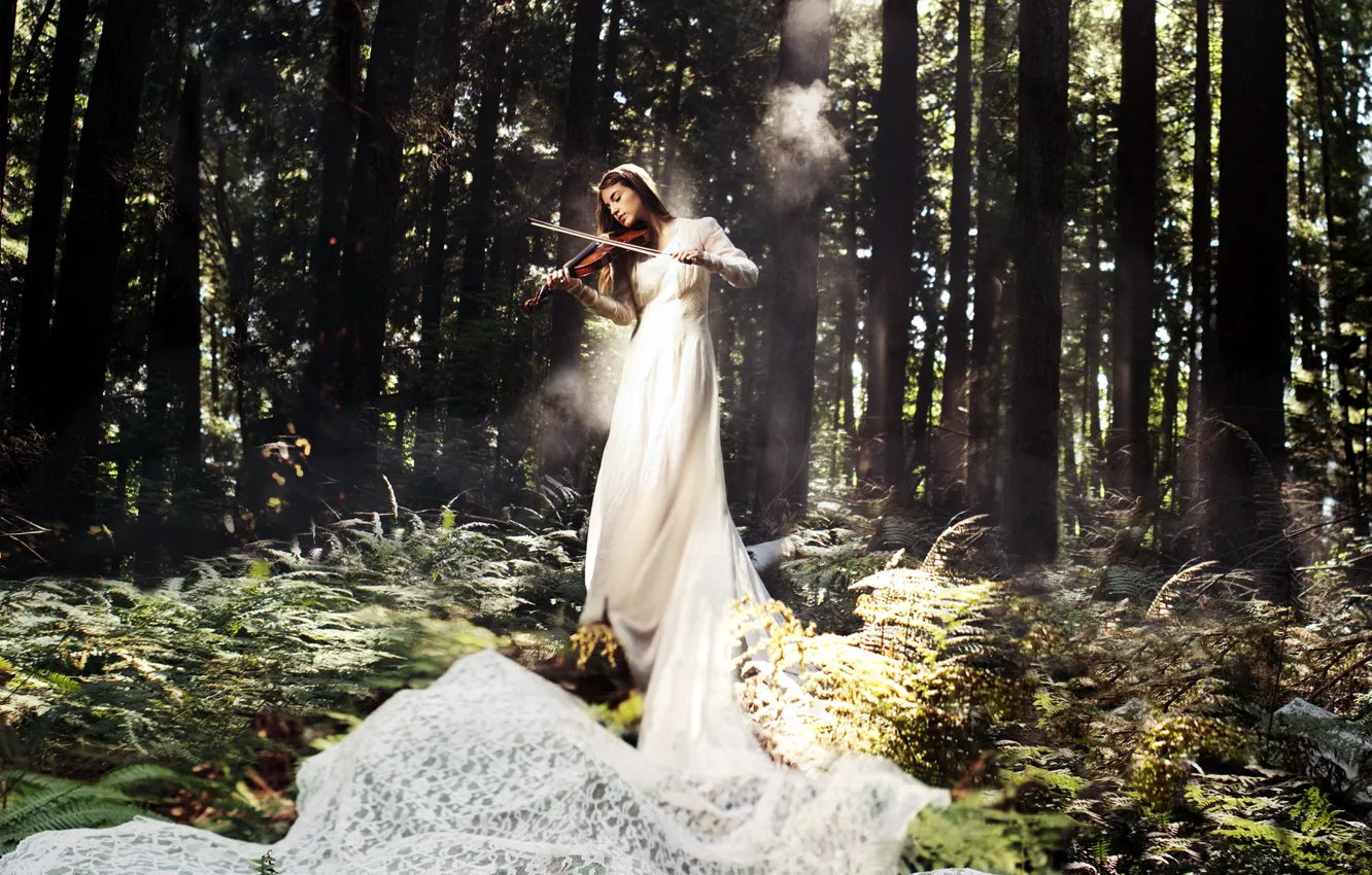 Фото обои лес, девушка, музыка, скрипка
