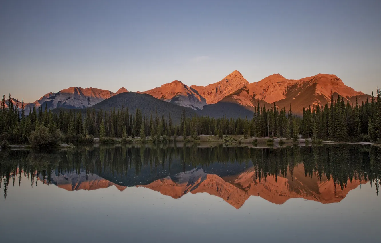 Фото обои лес, горы, озеро, отражение