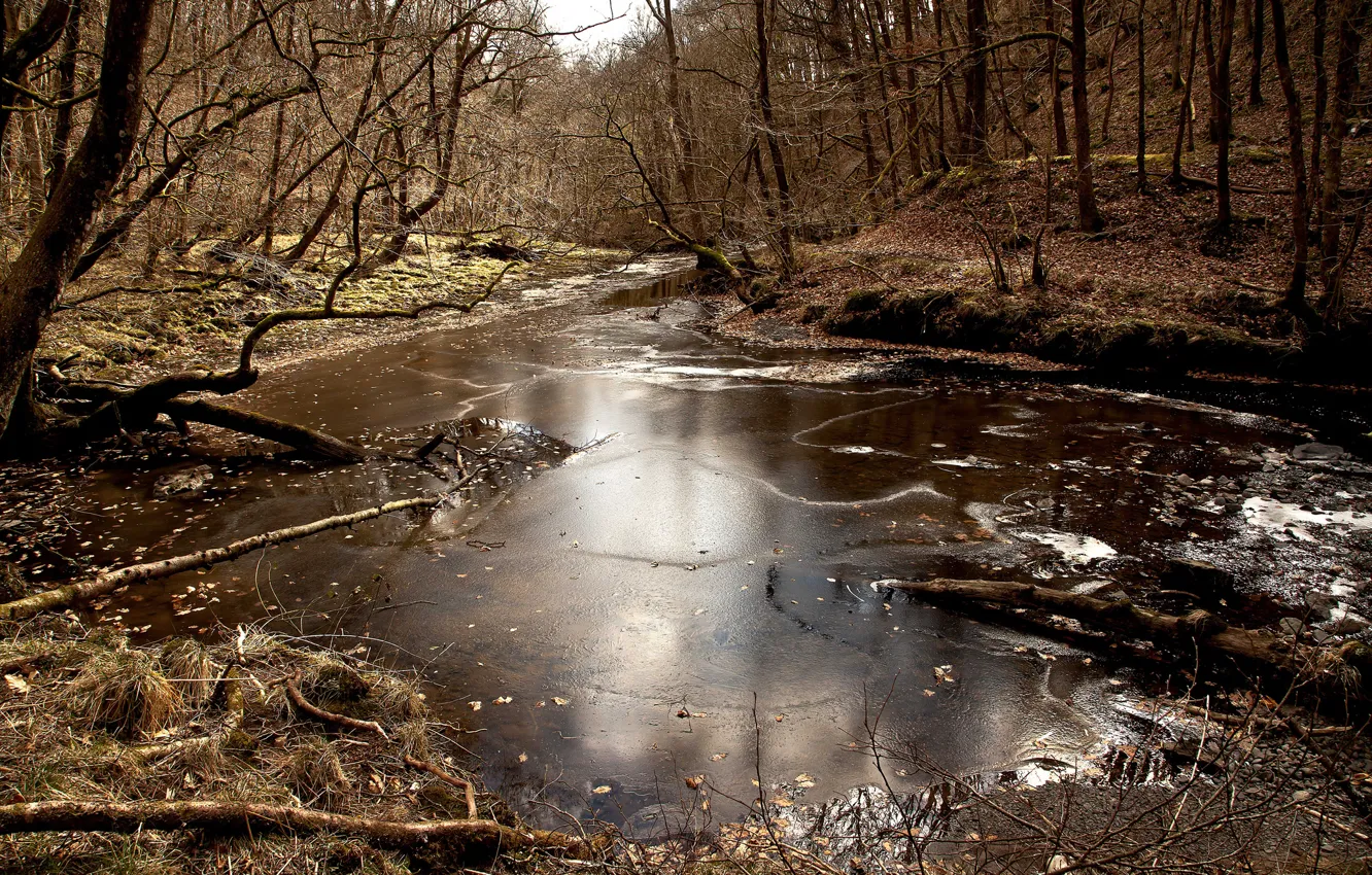 Фото обои лед, осень, лес, река, поздняя