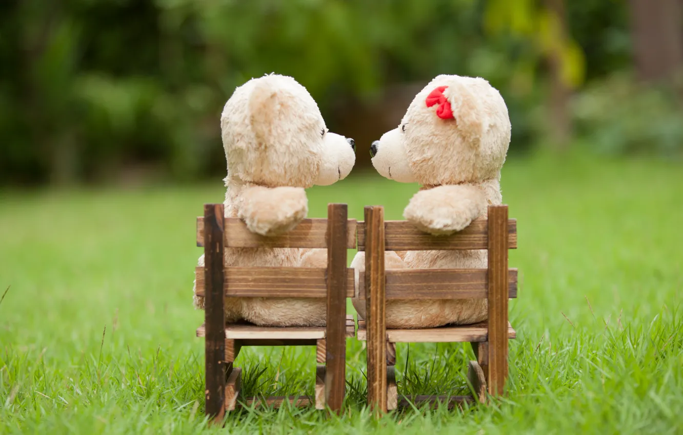 Фото обои любовь, игрушка, медведь, пара, love, двое, bear, park