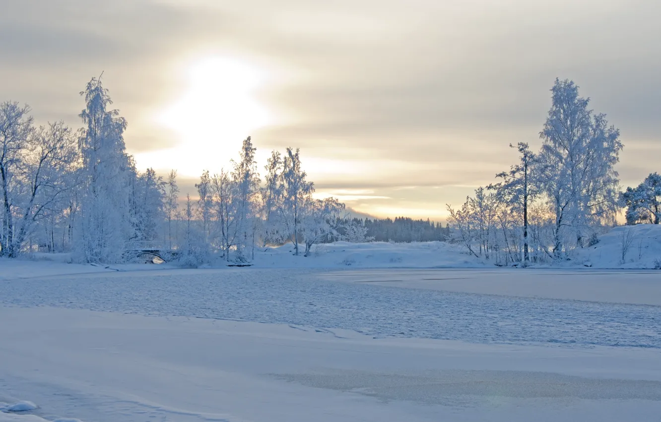 Фото обои зима, снег, деревья, река, мороз