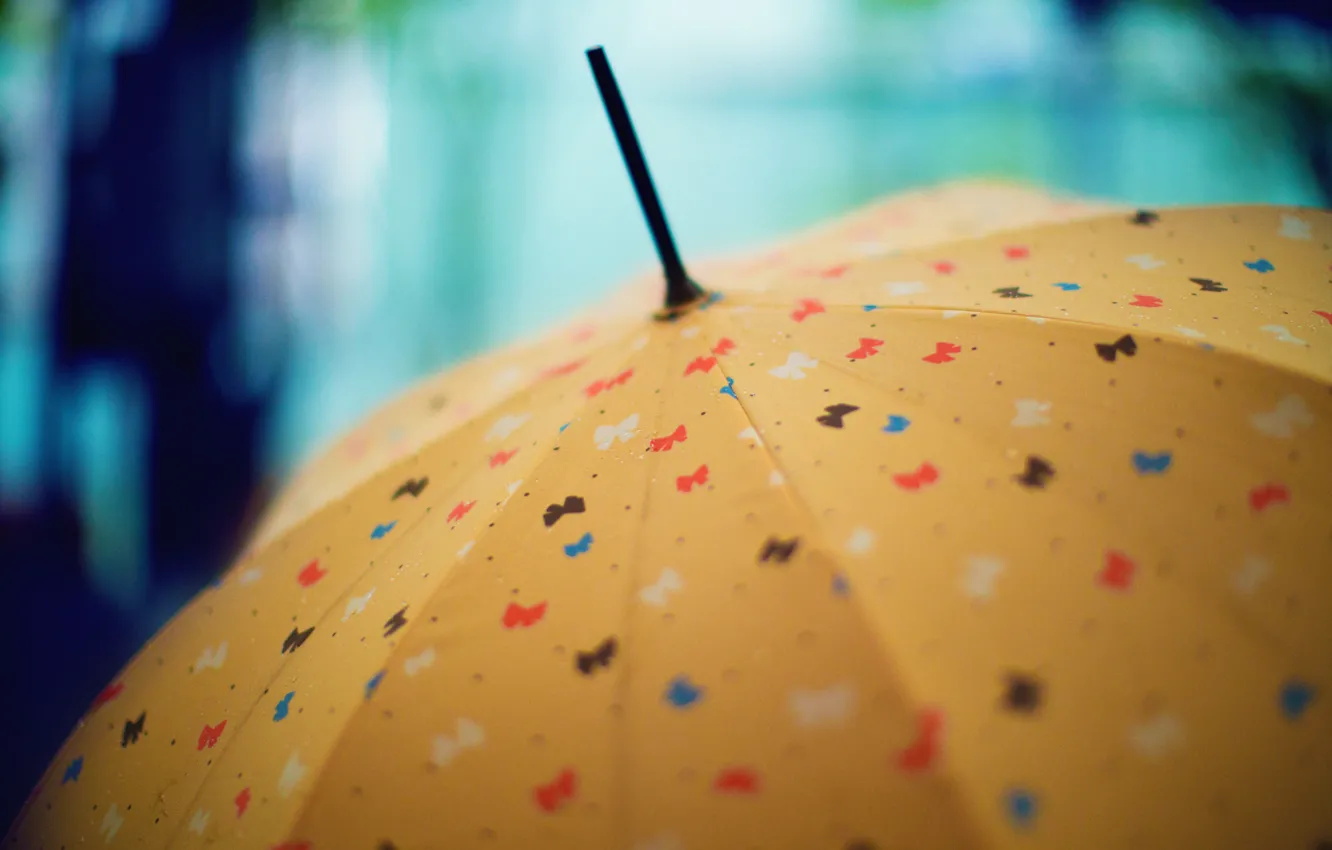 Фото обои рисунок, зонт, бантики