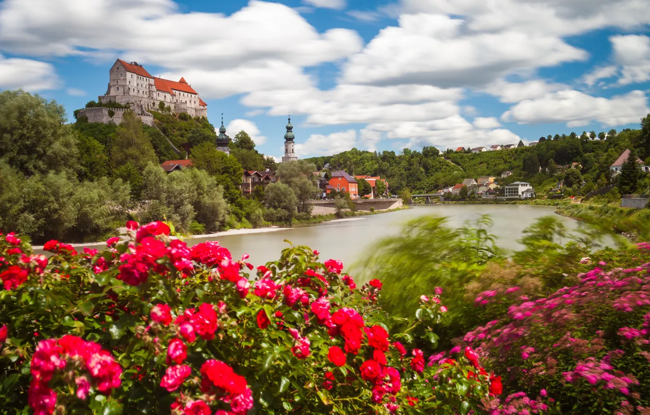 Фото обои цветы, река, замок, розы, Германия, Бавария, кусты, Germany