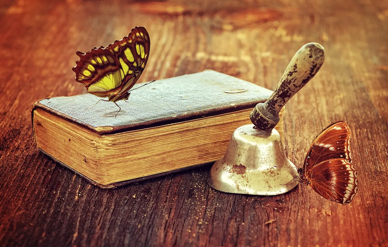 Фото обои wood, old, book, antique