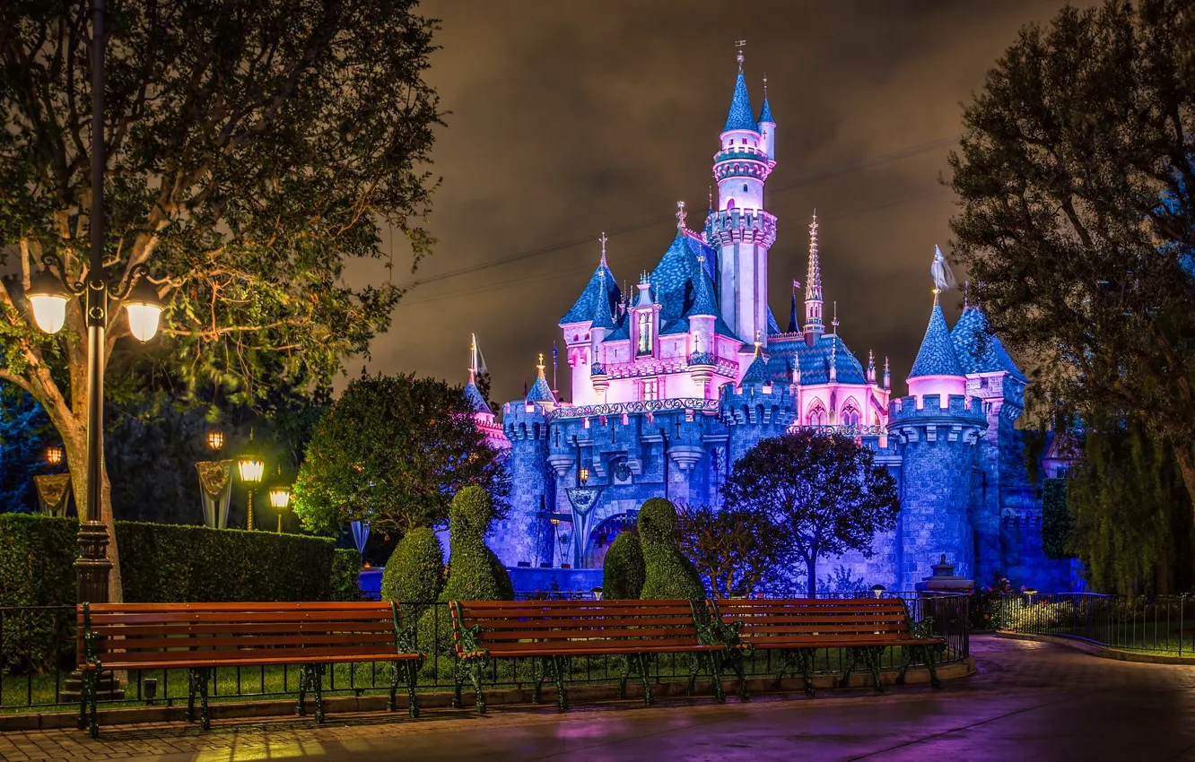 Фото обои Disneyland, Swan Bush, sleeping beauty castle