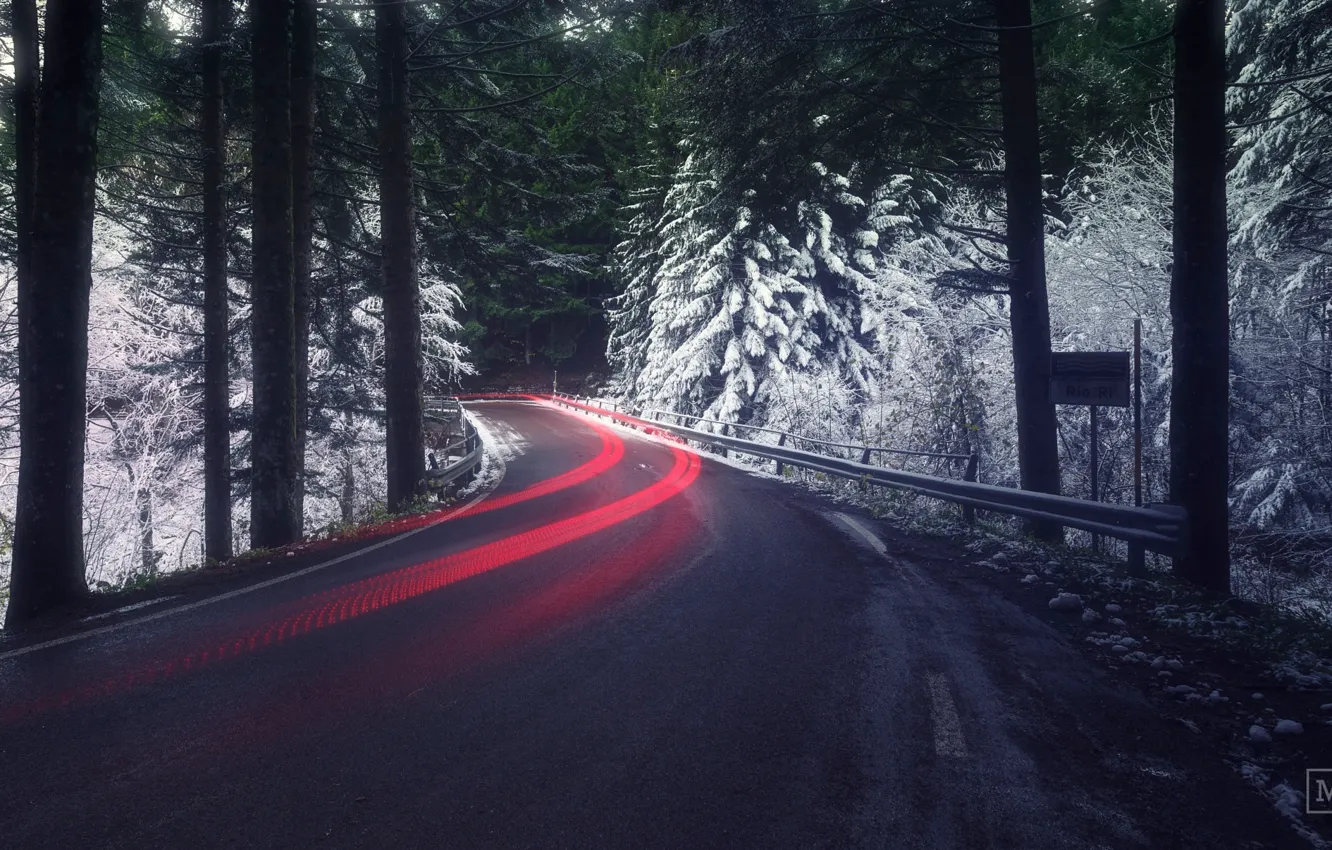 Фото обои дорога, лес, свет, снег, выдержка