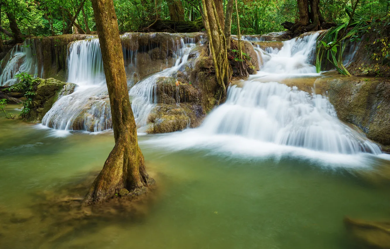 Фото обои лес, пейзаж, река, скалы, водопад, summer, forest, тропический