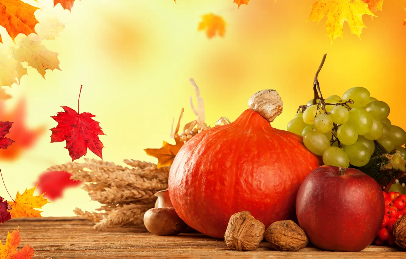 Фото обои осень, листья, грибы, яблоко, тыква, фрукты, овощи, калина