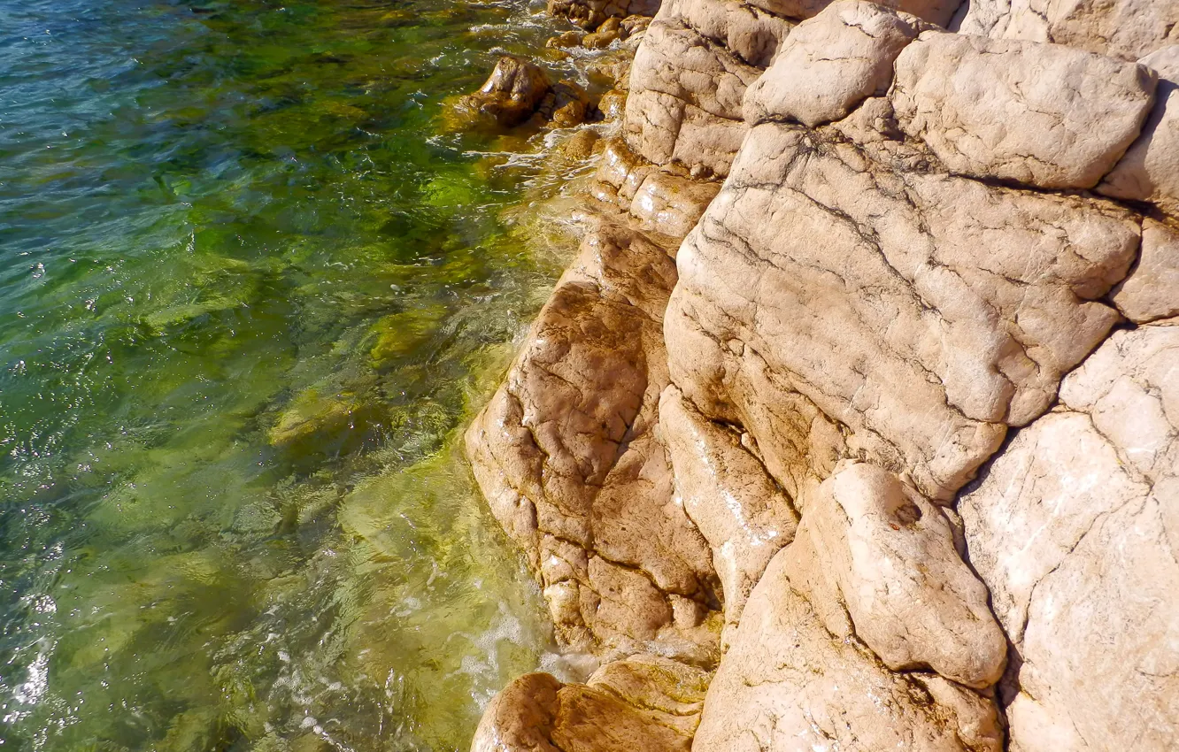 Фото обои пляж, зеленый, камень, воды