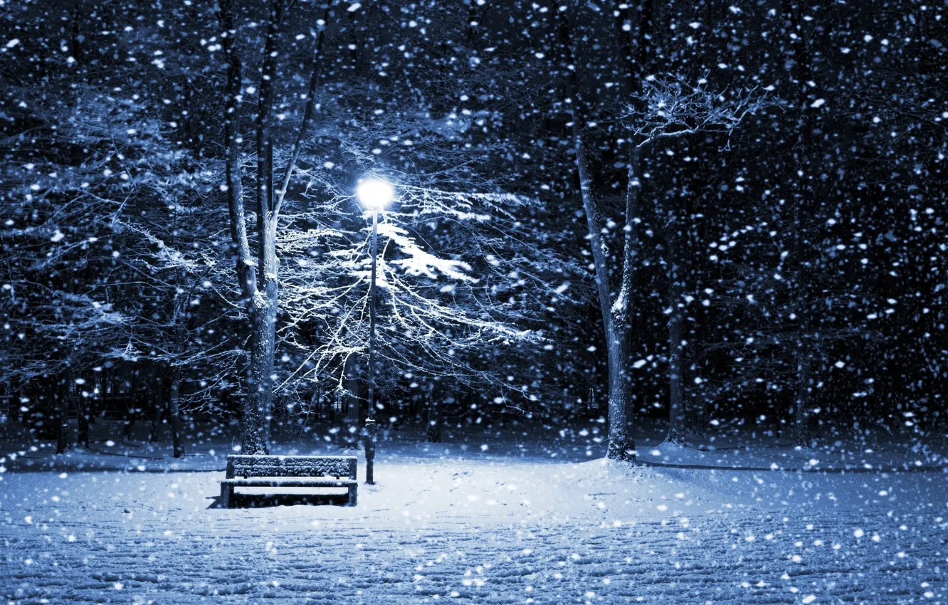 Фото обои зима, иней, свет, снег, деревья, ветки, вечер, лавочка