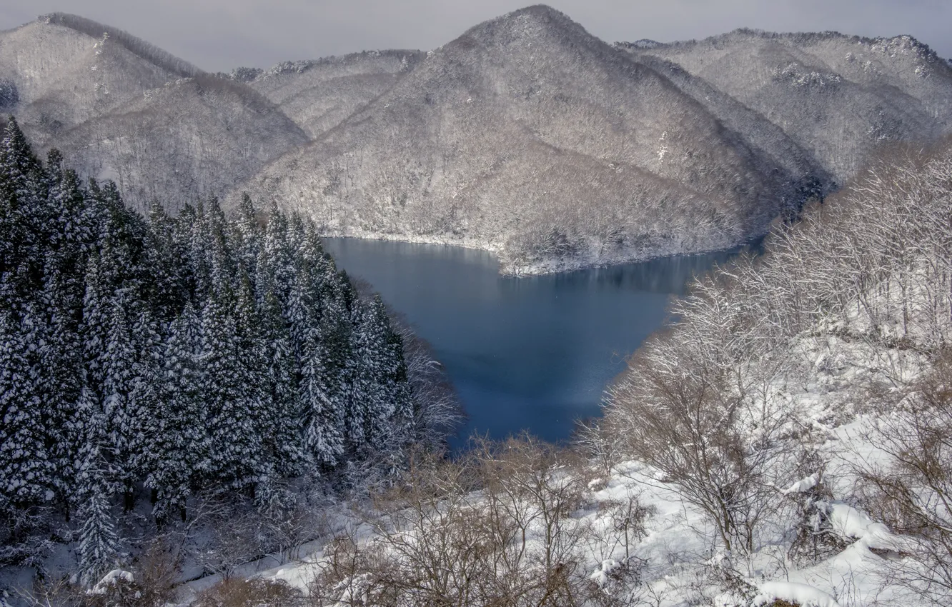 Фото обои зима, снег, деревья, горы, озеро, Япония