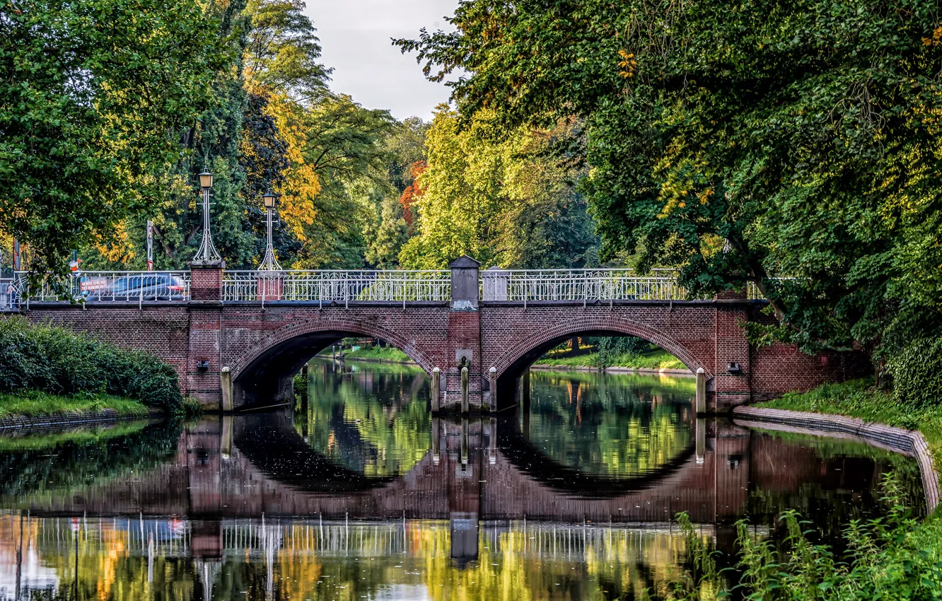 Фото обои осень, деревья, мост, пруд, парк, Нидерланды, Utrecht