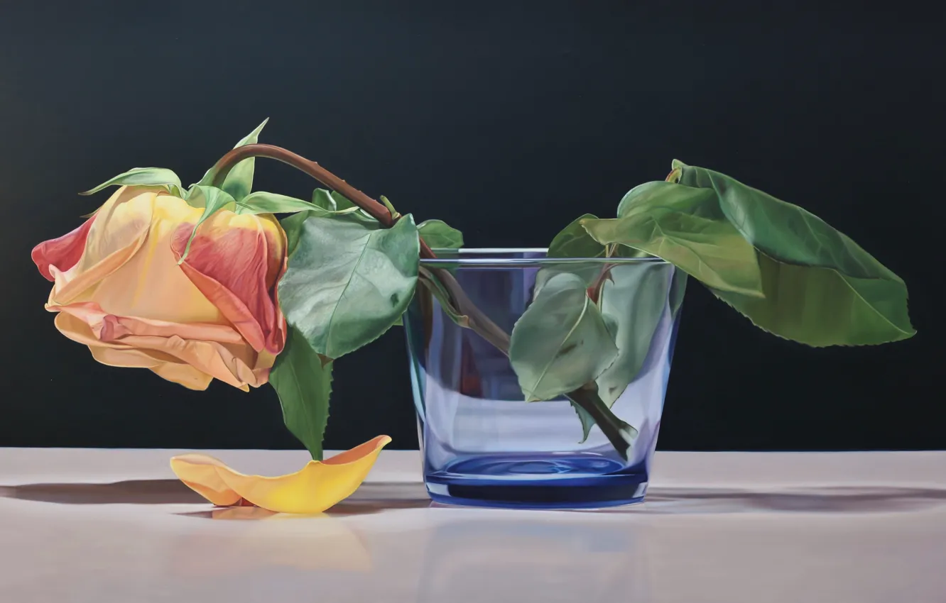 Фото обои цветок, стакан, роза, лепесток, арт, чайная