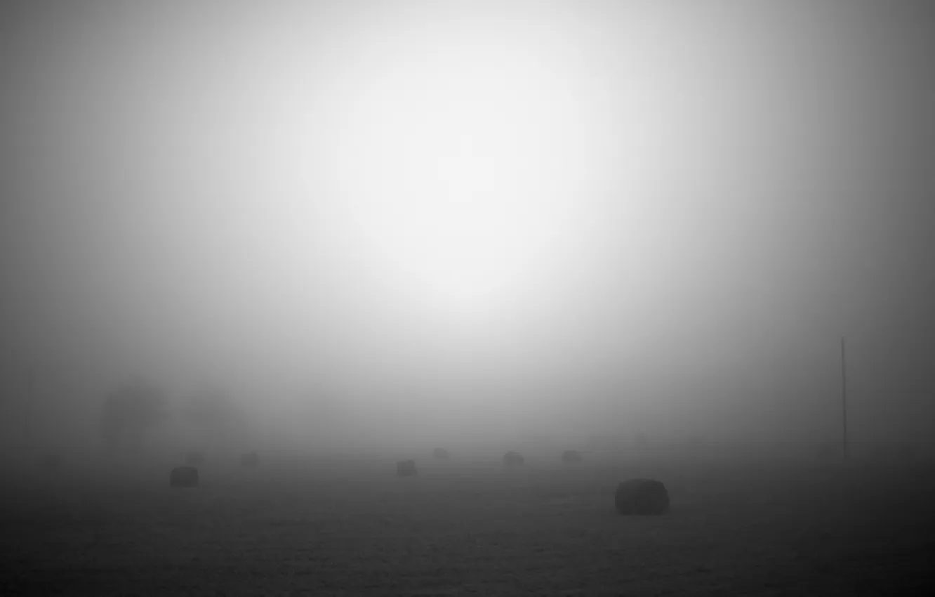 Фото обои природа, туман, фото, фон, обои, пейзажи, дымка