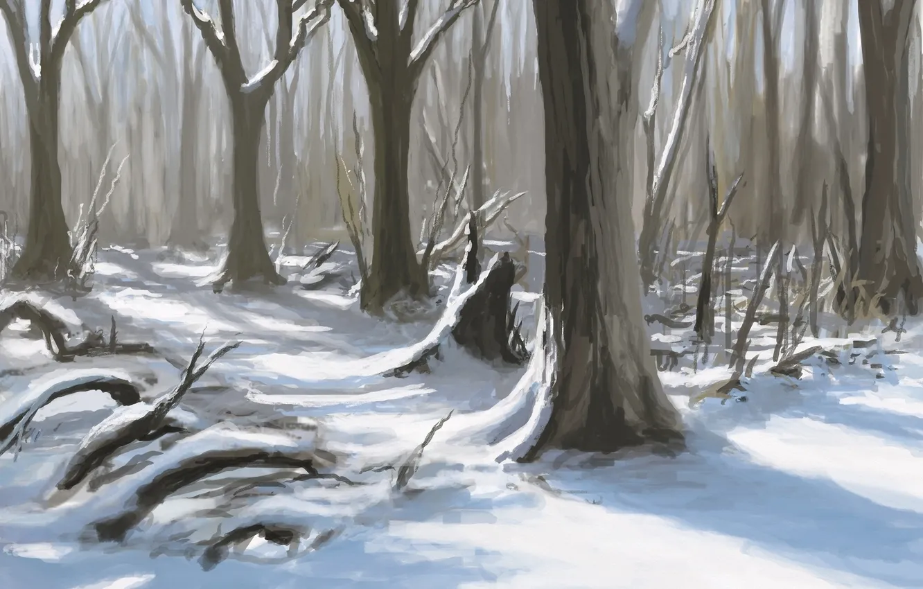 Фото обои зима, лес, снег, деревья, природа, арт, тени