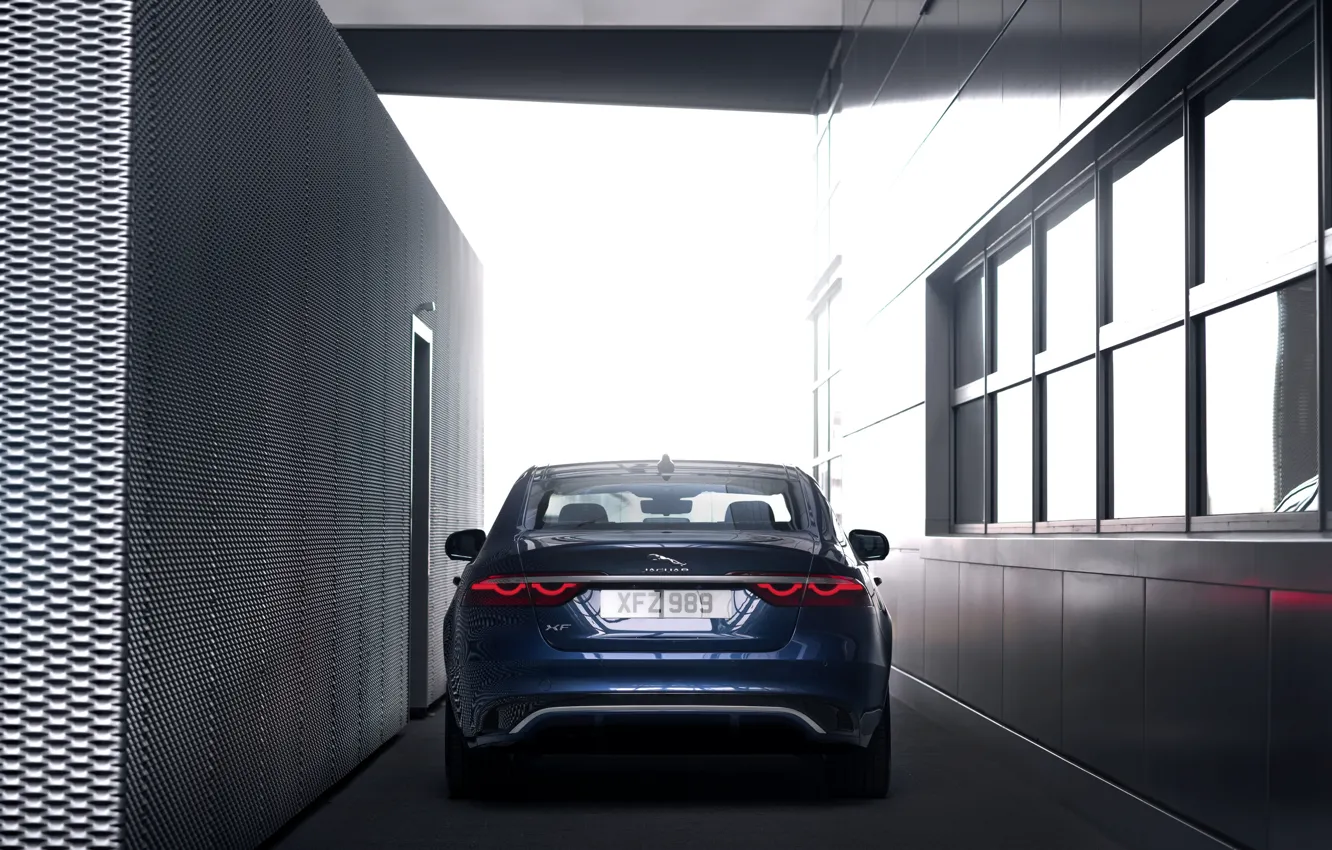 Фото обои свет, Jaguar, фонари, седан, вид сзади, Jaguar XF, 2020, XF
