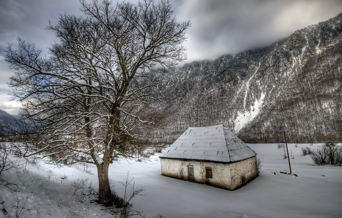Фото обои зима, снег, горы, природа, дерево, скалы, мороз, заброшенный