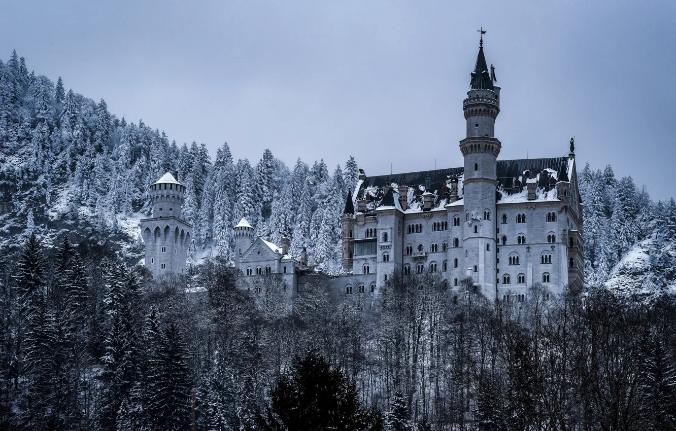 Фото обои зима, лес, замок, Германия, Бавария, Germany, Bavaria, Neuschwanstein Castle