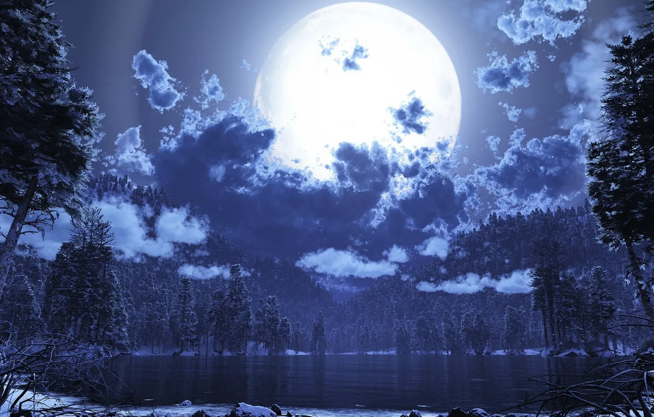 Фото обои лес, ночь, природа, озеро, луна