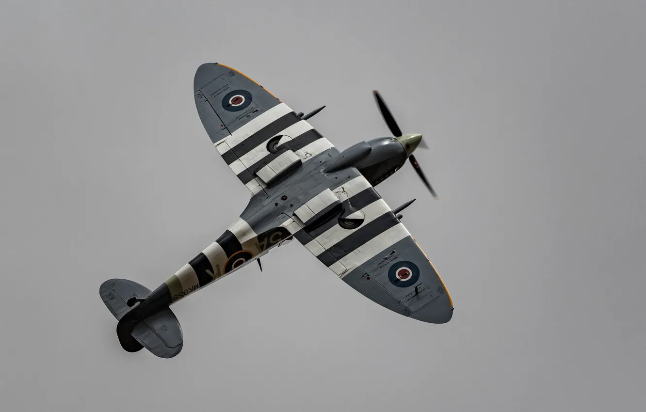 Фото обои истребитель, войны, британский, Spitfire, времён, Второй мировой