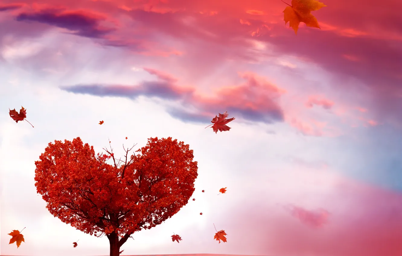 Фото обои осень, листья, дерево, сердце