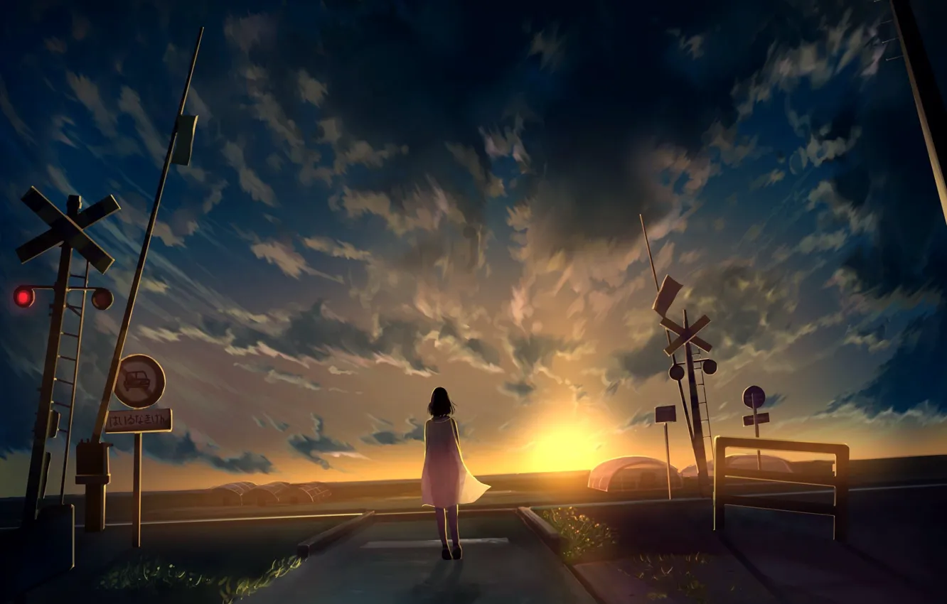 Фото обои небо, девушка, закат, знаки, теплицы, железнодоржный переезд