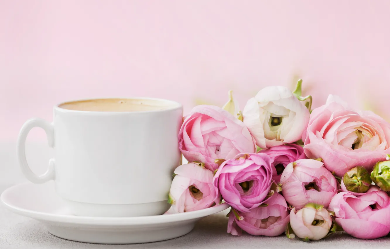Фото обои цветы, розы, чашка, розовые, pink, flowers, beautiful, cup