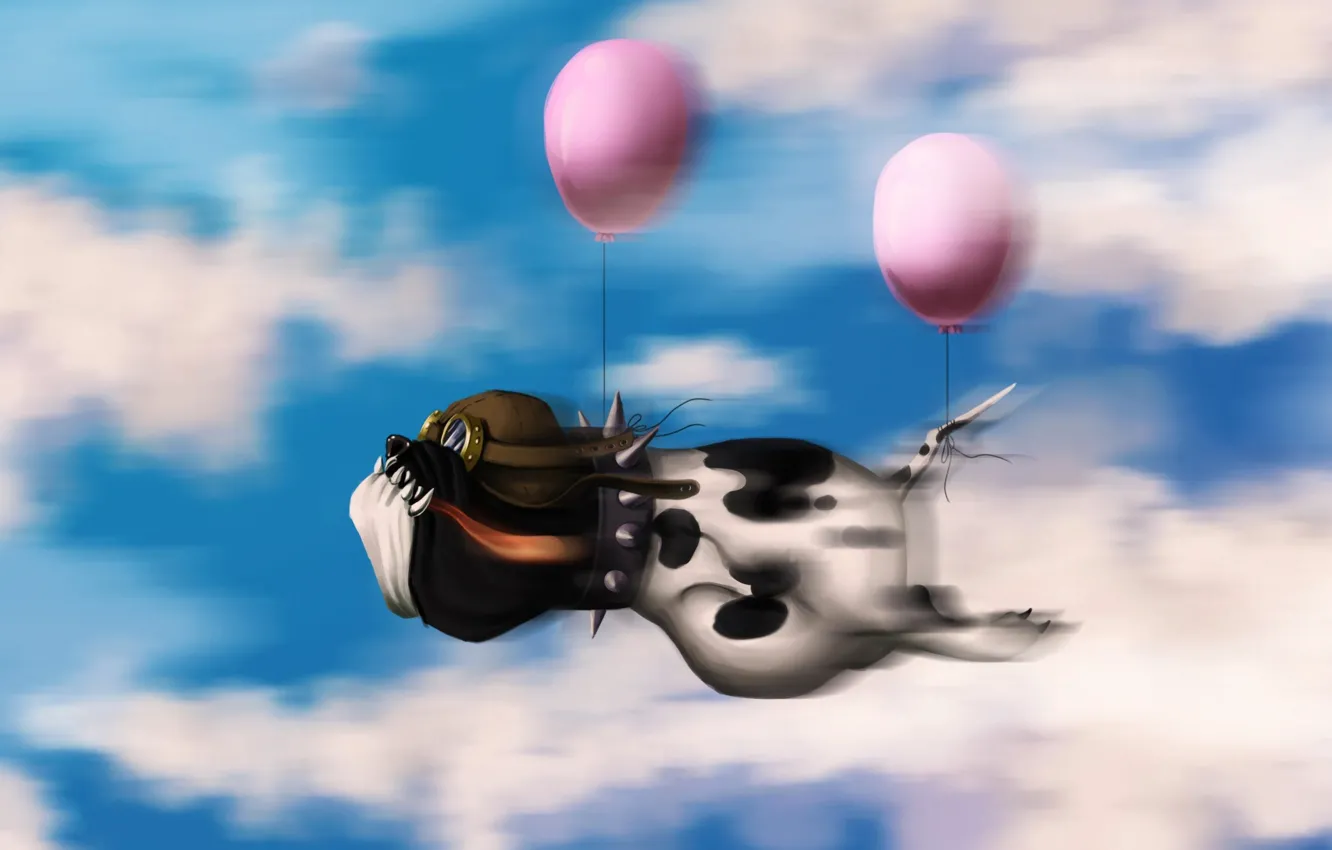 Фото обои небо, облака, воздушные шары, Собака, пилот, полёт