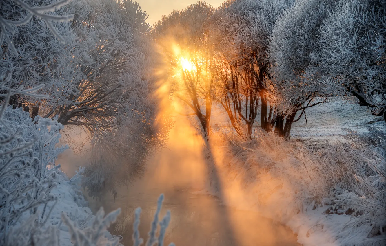 Фото обои иней, река, рассвет, Зима
