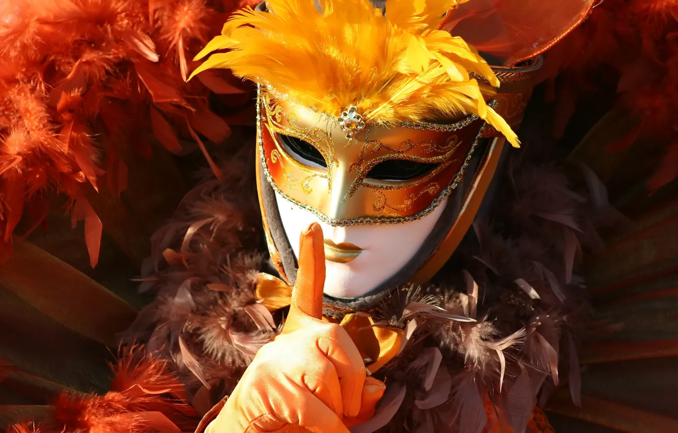 Фото обои mask, costume, gloves, Carnival