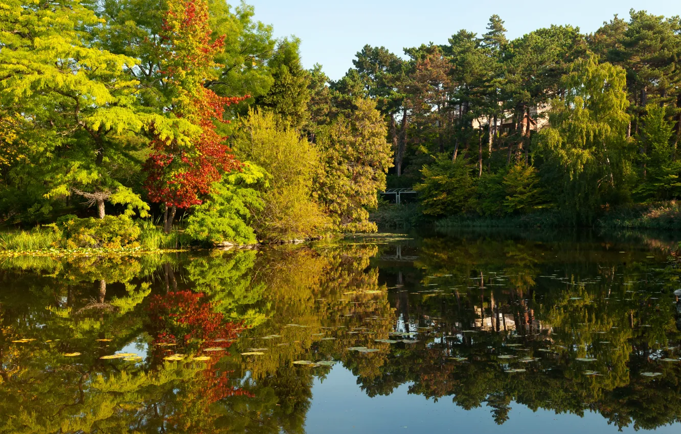 Фото обои осень, деревья, отражение, река, Германия, river, Germany, autumn