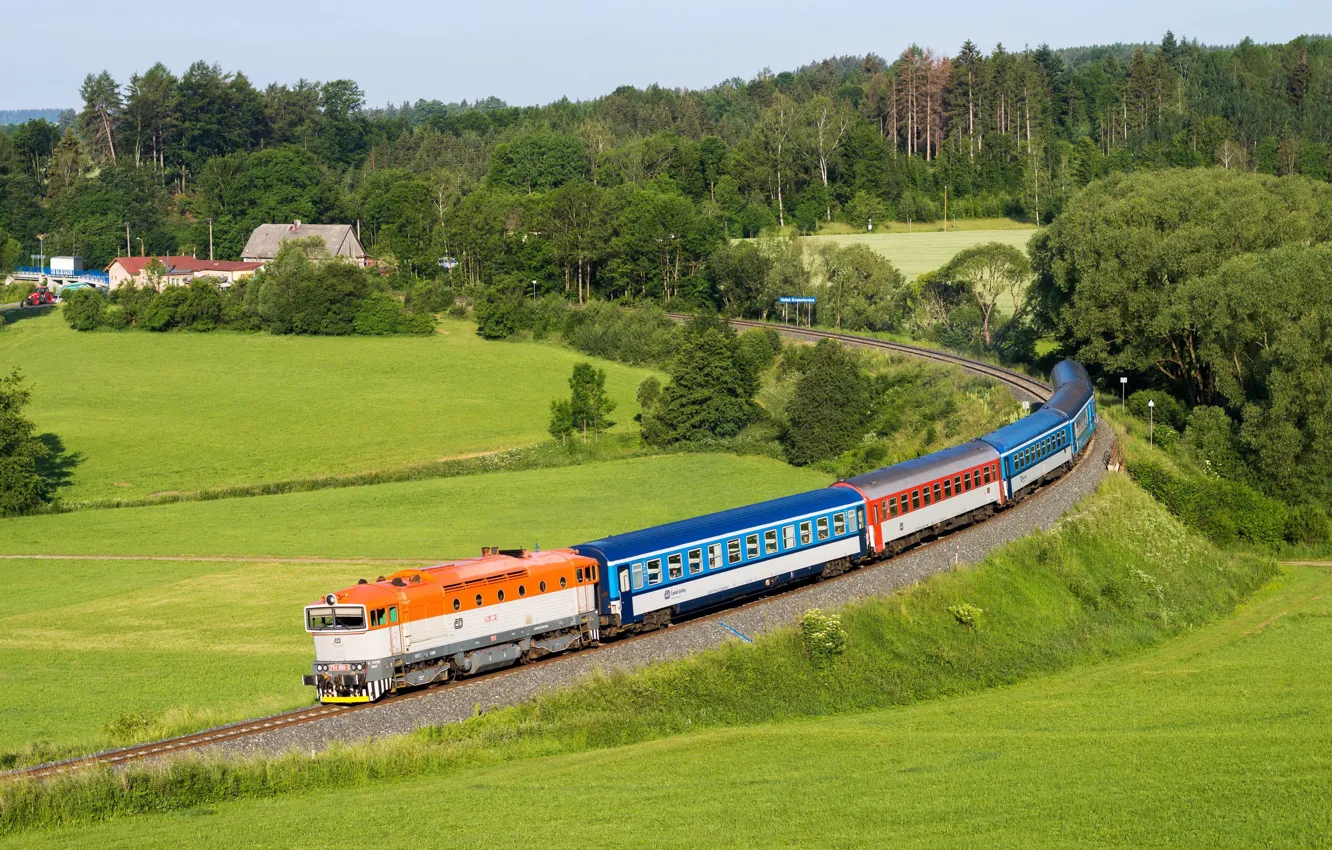 Фото обои поле, лес, поезд, вагоны, Чехия, железная дорога, railroads