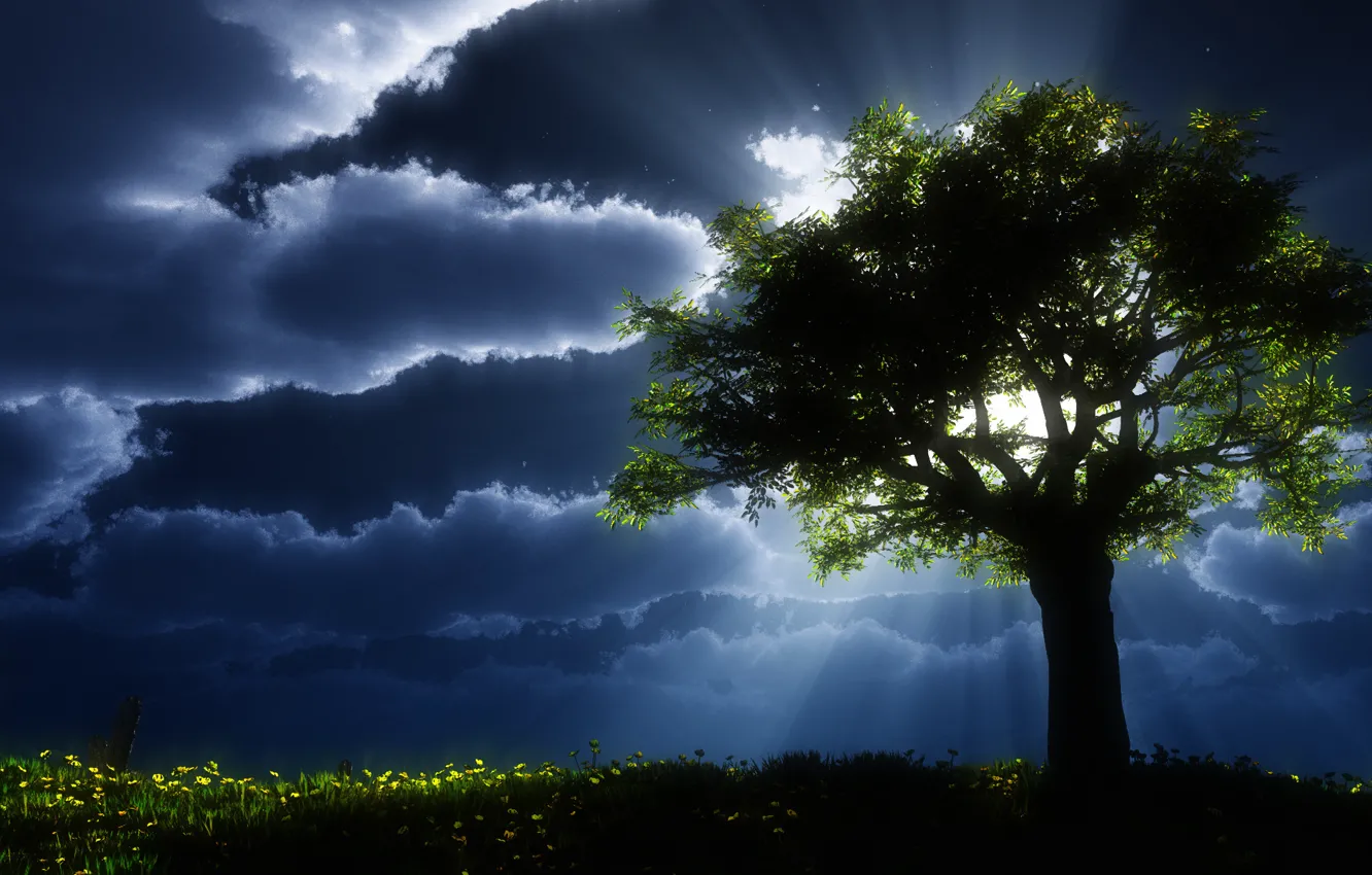 Фото обои nature, landscapes, tree
