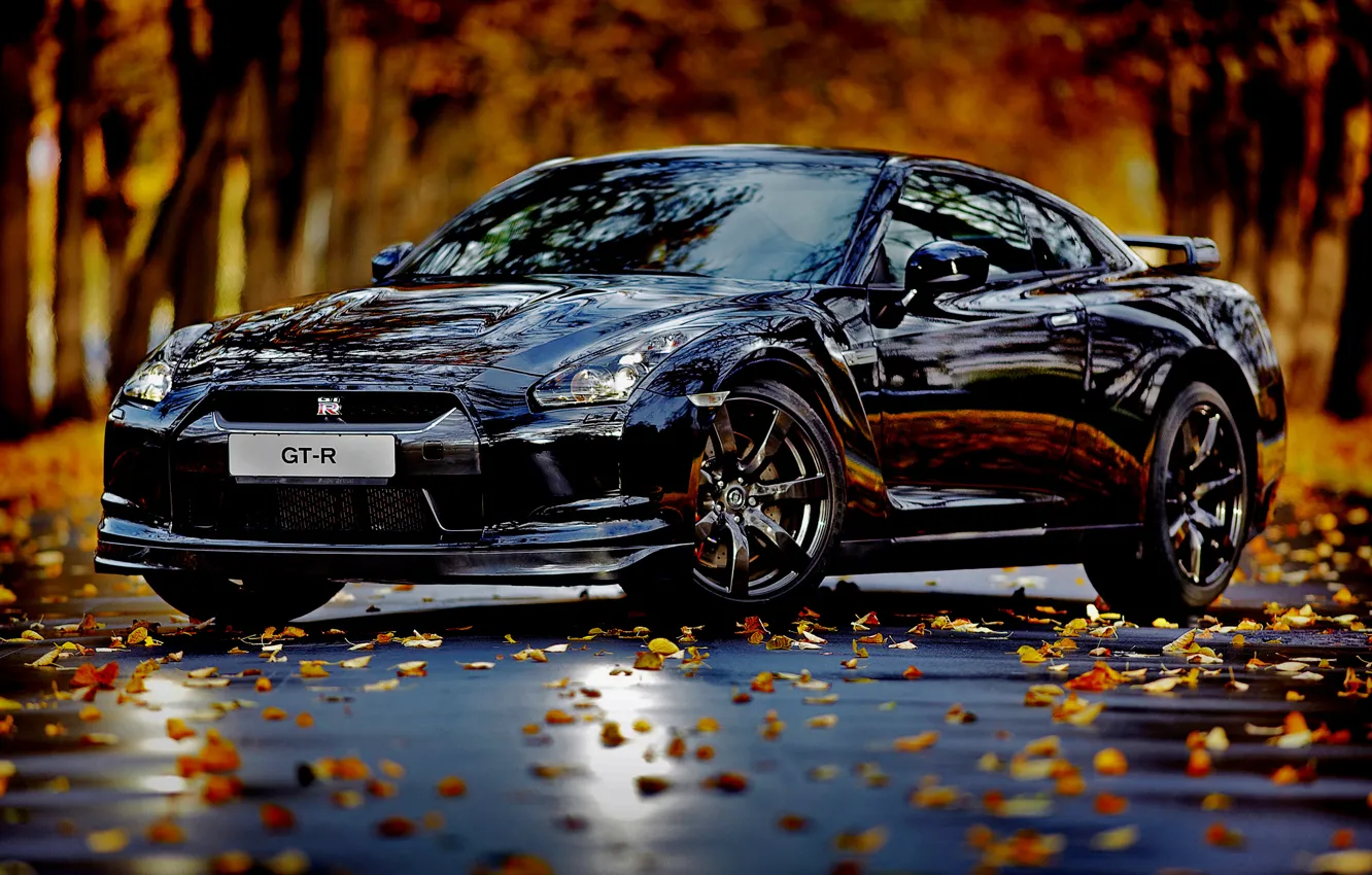 Фото обои авто, осень, листья