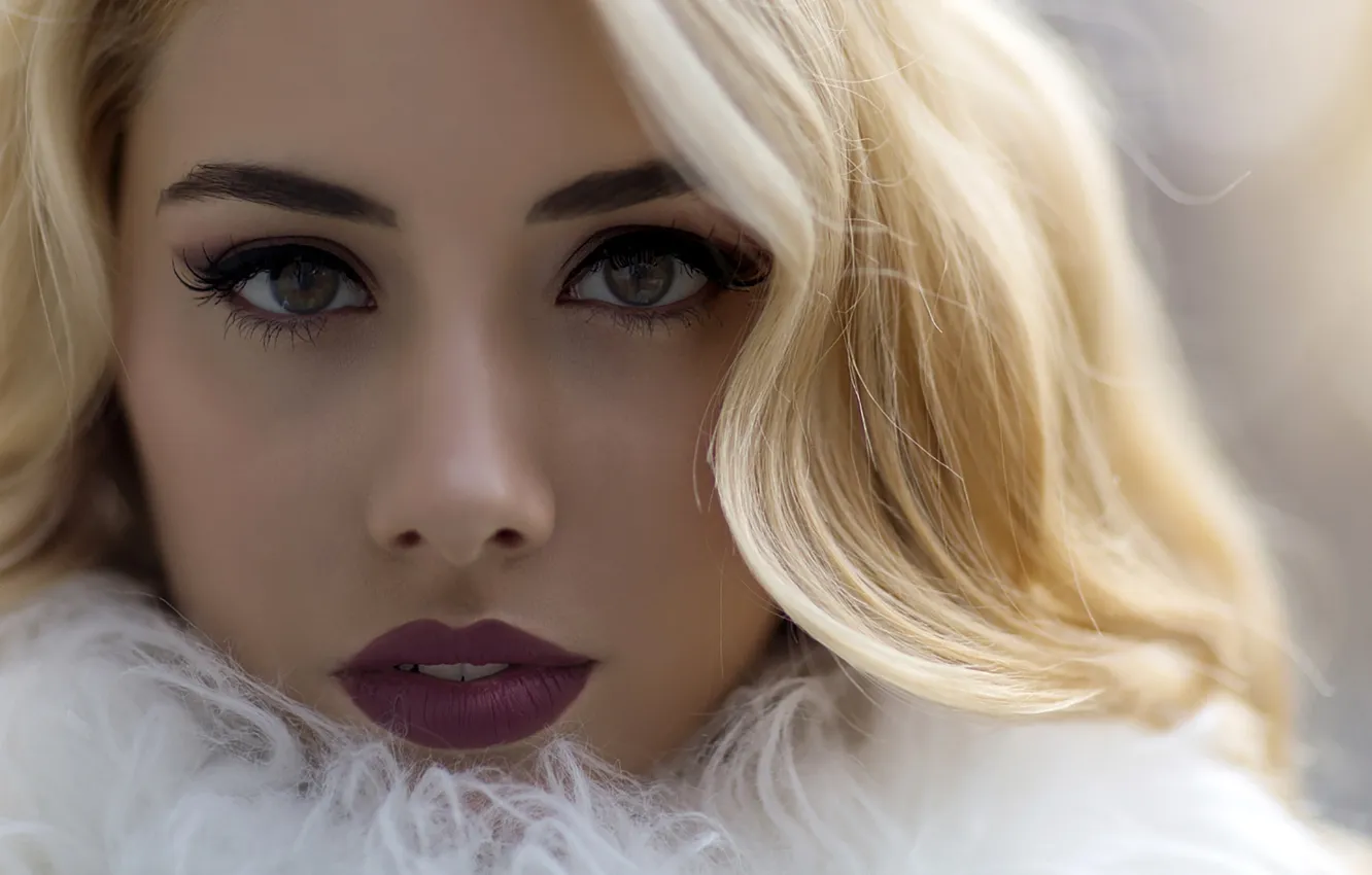 Фото обои глаза, взгляд, модель, блондинка, Lulu Llamas