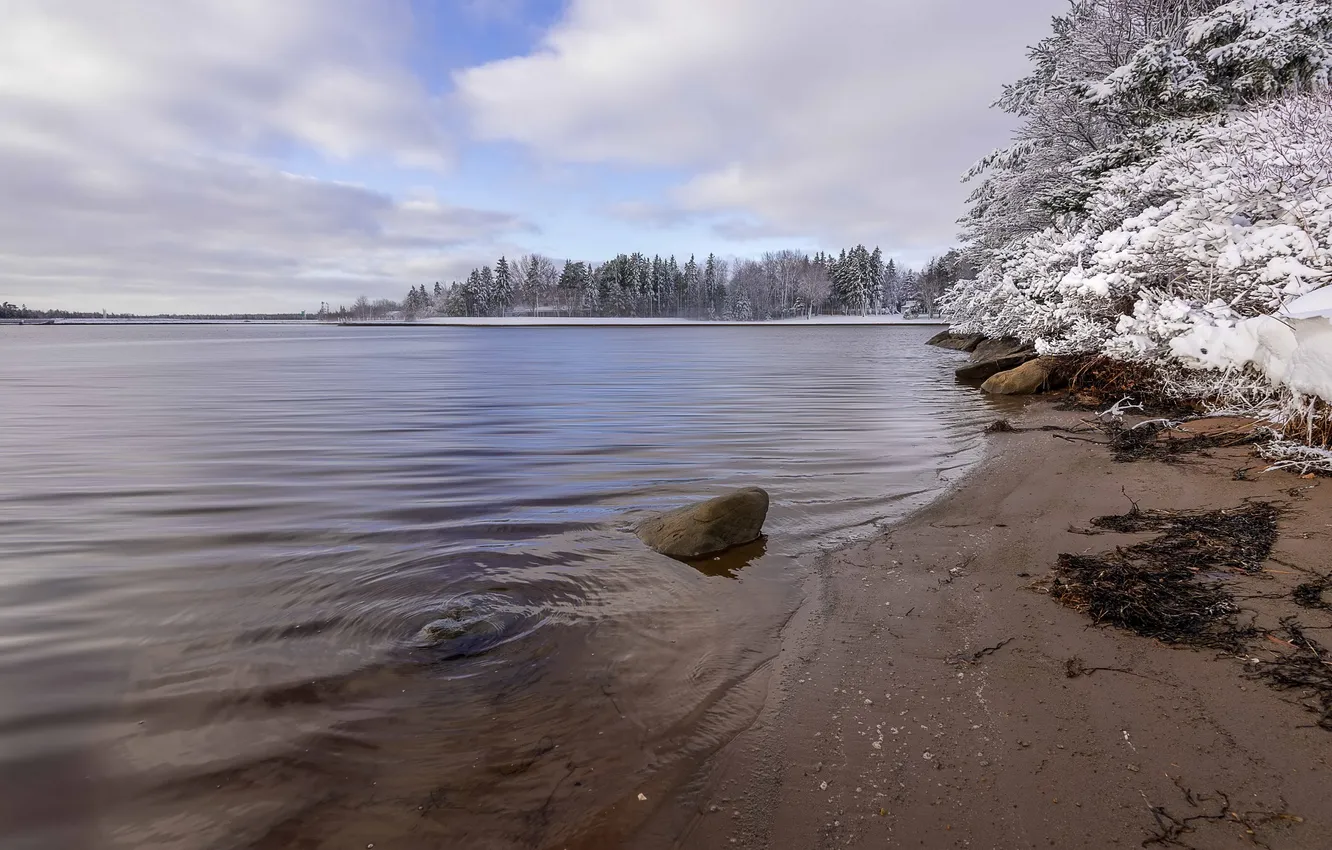 Фото обои зима, озеро, берег