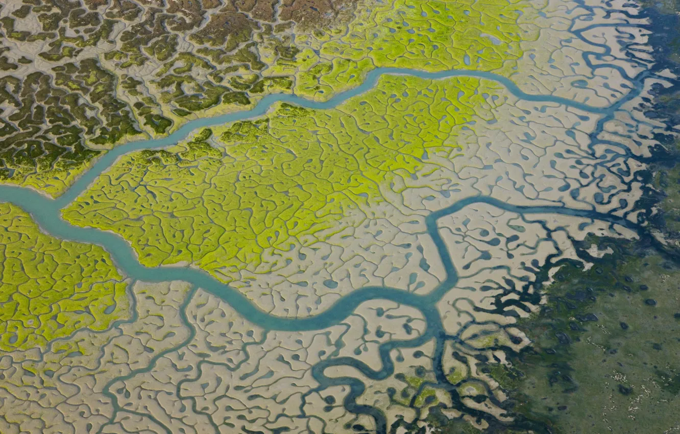 Фото обои песок, зелень, трава, река, нетронутый кусочек природы, болотистая местность, островки земли, притоки