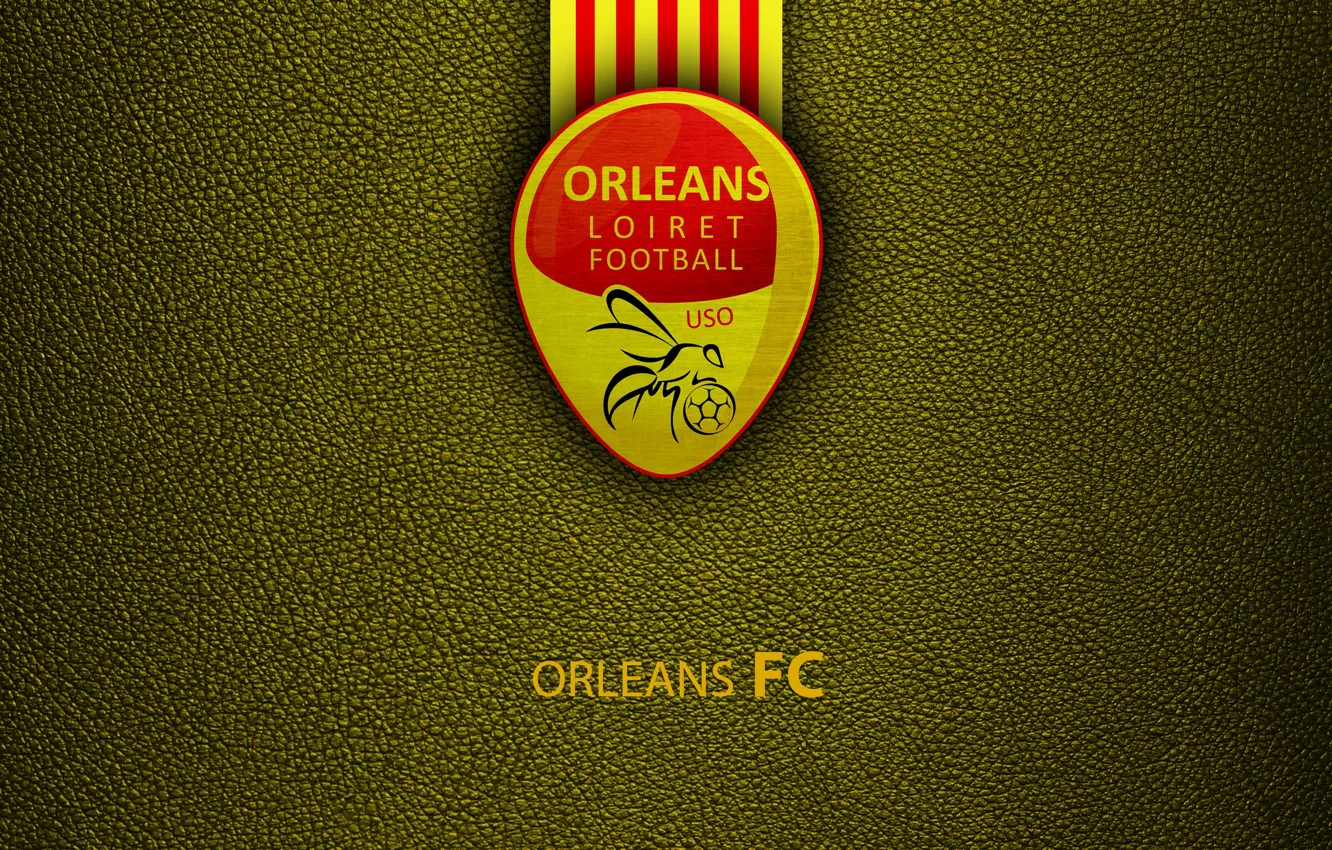 Фото обои wallpaper, sport, logo, football, Ligue 1, Orleans