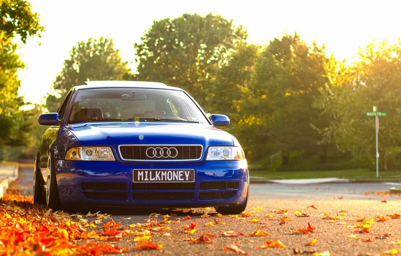 Фото обои осень, Audi, ауди, листва, перед, синяя, blue