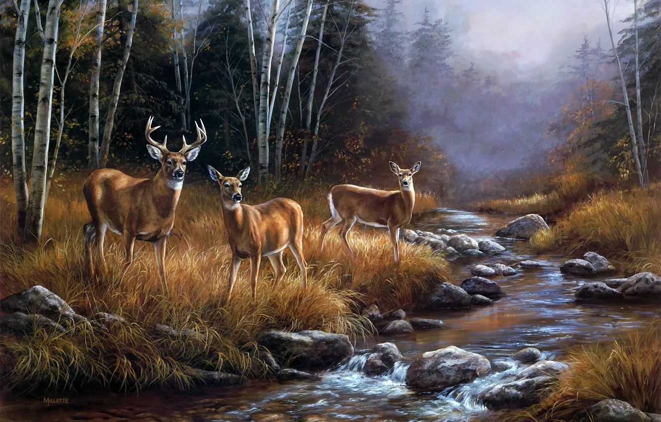 Фото обои лес, пейзаж, туман, река, ручей, октябрь, живопись, олени
