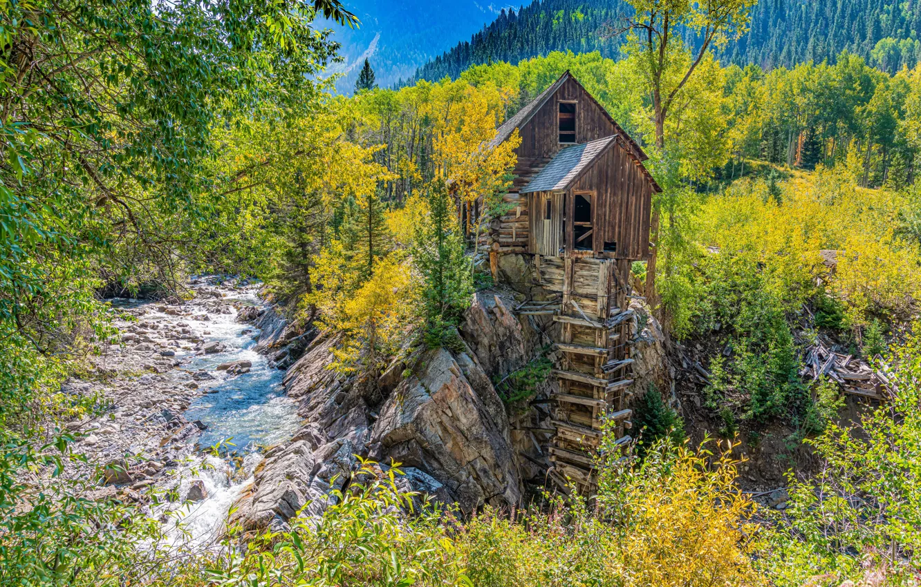 Фото обои осень, лес, деревья, река, Колорадо, водяная мельница, Colorado, Crystal Mill