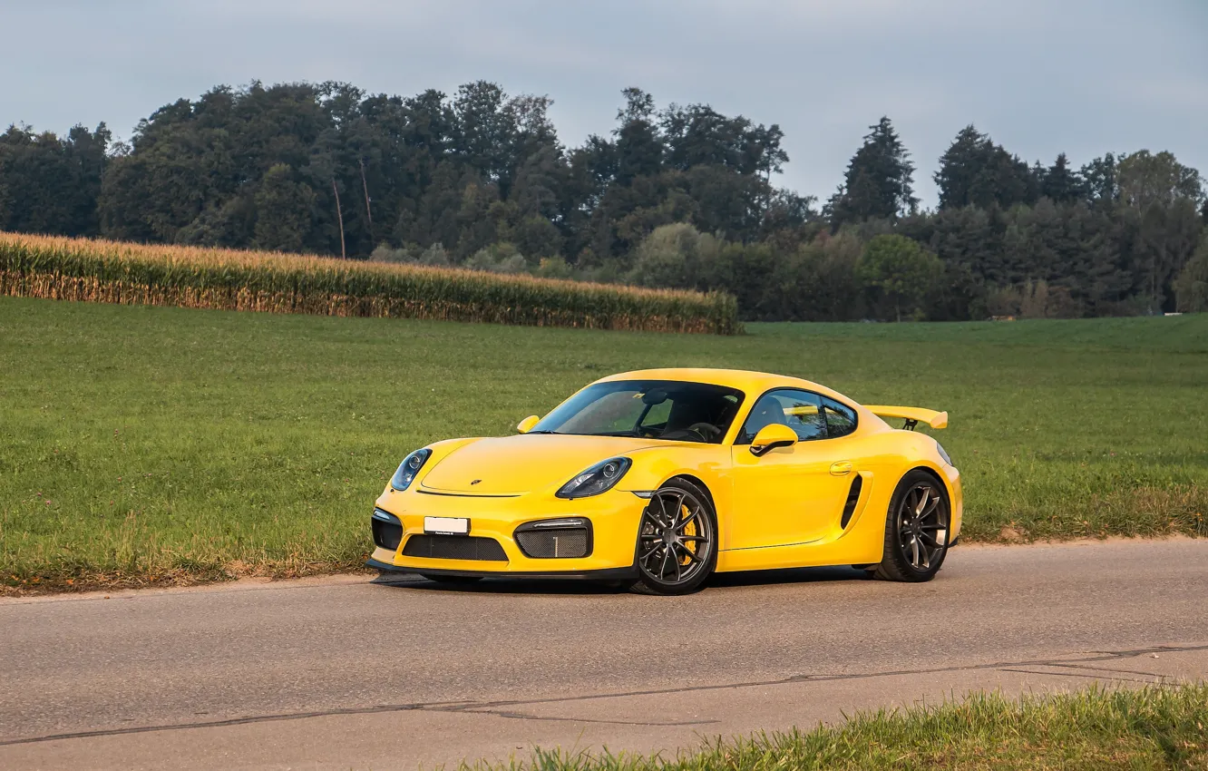 Фото обои Porsche, Cayman, Yellow, Field, GT4