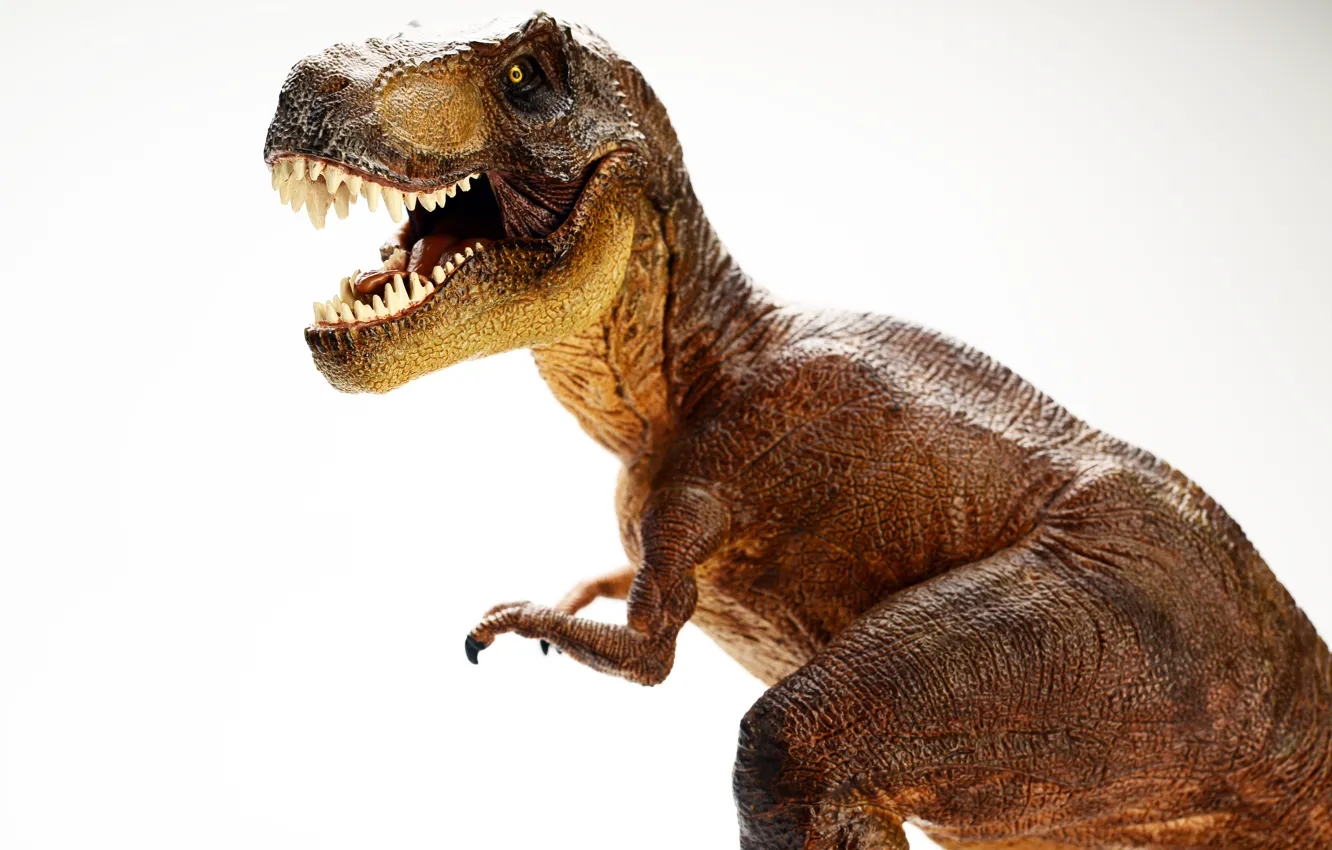 Фото обои realism, details, dinosaur, toy doll