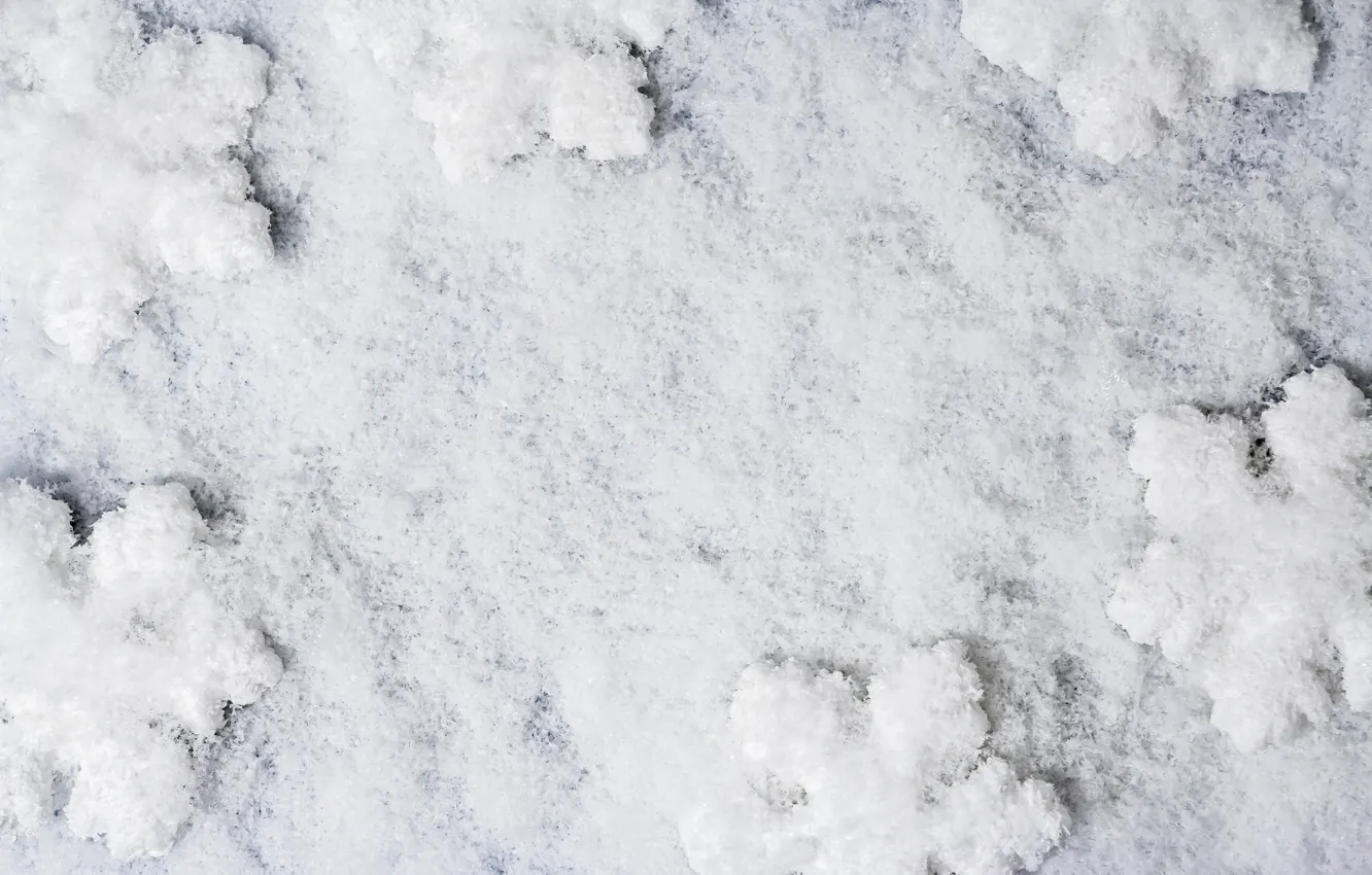 Фото обои зима, белый, снег, снежинки, фон, white, winter, background