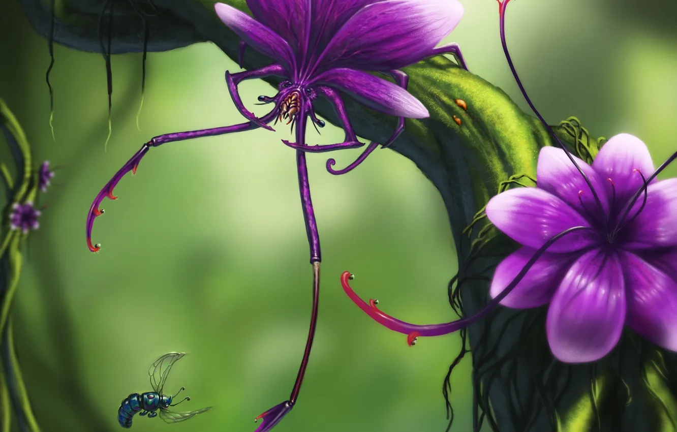 Фото обои цветок, муха, дерево, монстр, хищник, ветка, арт, насекомое