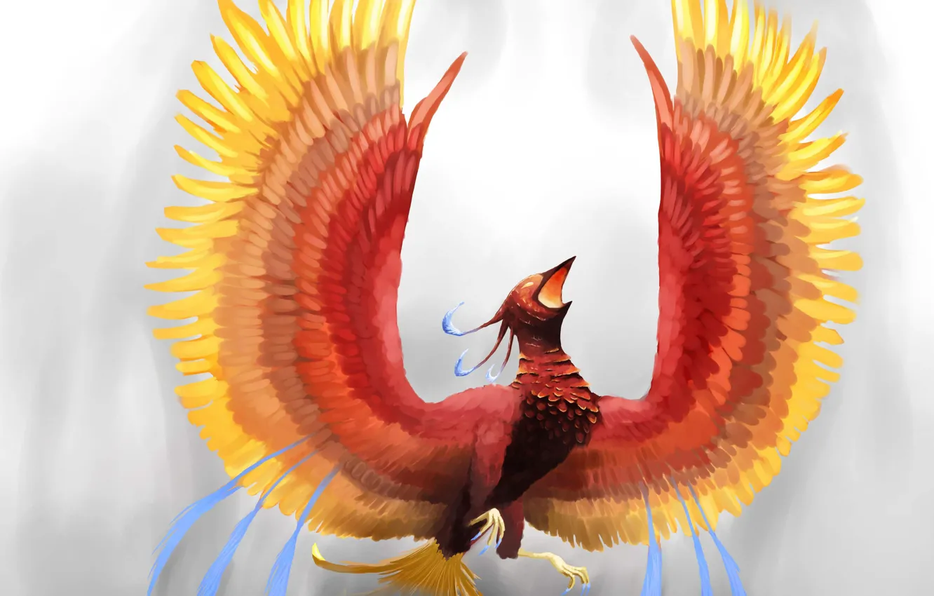 Фото обои взгляд, фон, фантастика, огонь, крылья, перья, арт, феникс