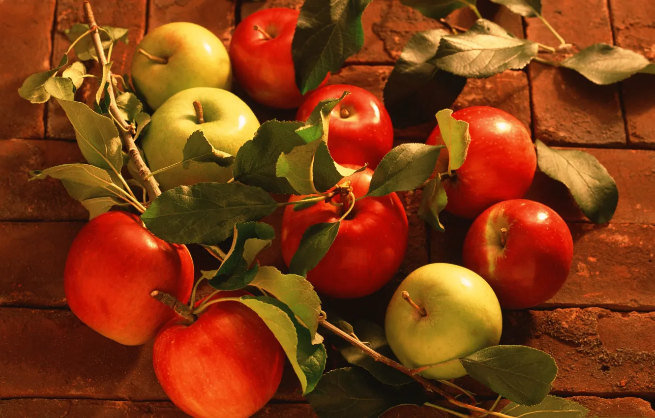 Фото обои листья, яблоки, урожай