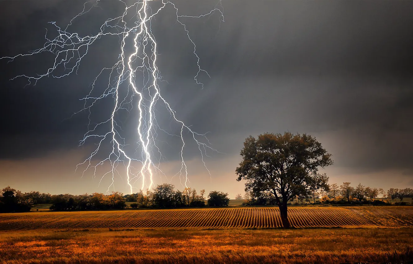 Фото обои grass, storm, field, landscape, Lightning, nature, clouds, tree
