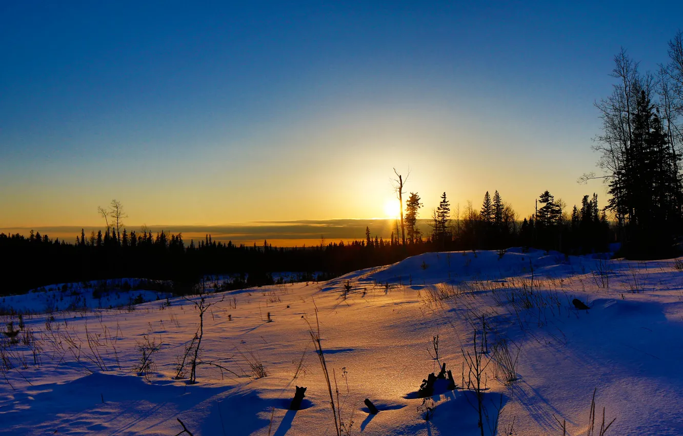 Фото обои зима, поле, небо, солнце, облака, лучи, деревья, закат