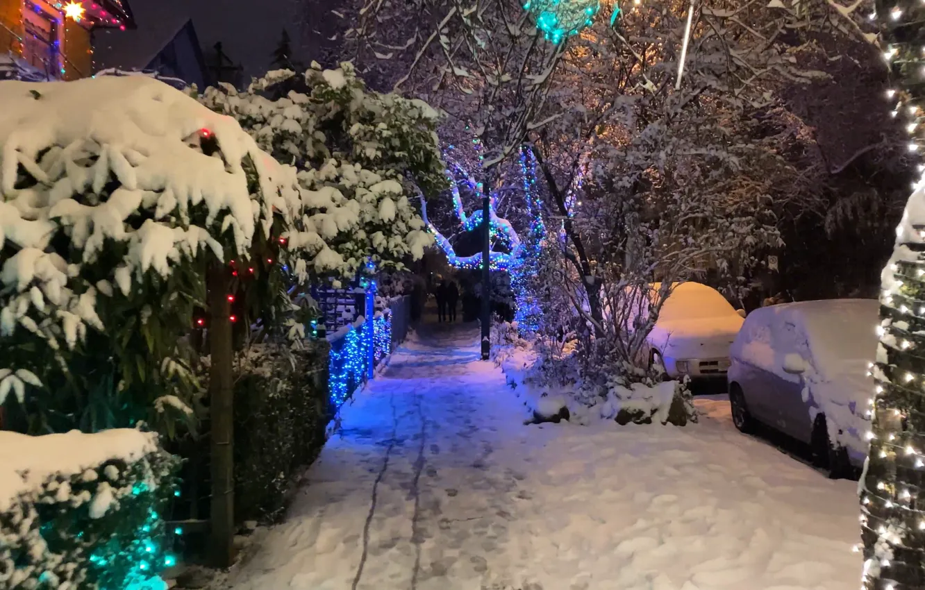 Фото обои Зима, Улица, Winter, Street, Snow trees, Снежные деревья, Новогодняя атмосфера, New Year's atmosphere